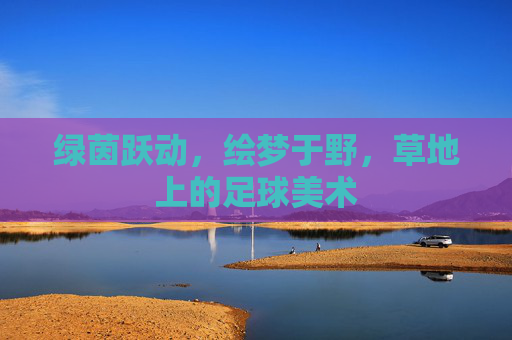 绿茵跃动，绘梦于野，草地上的足球美术