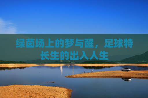 绿茵场上的梦与醒,足球特长生的出入人生