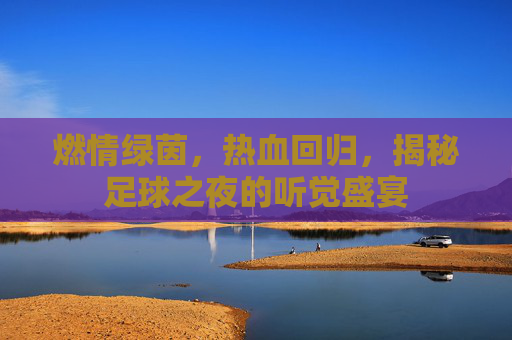 燃情绿茵,热血回归,揭秘足球之夜的听觉盛宴