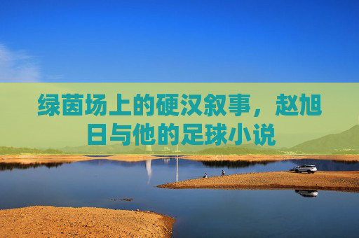 绿茵场上的硬汉叙事,赵旭日与他的足球小说