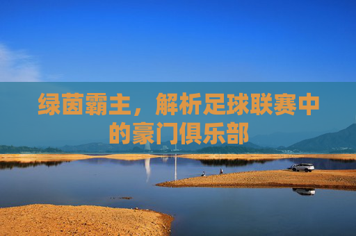 绿茵霸主,解析足球联赛中的豪门俱乐部