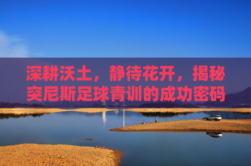 深耕沃土，静待花开，揭秘突尼斯足球青训的成功密码