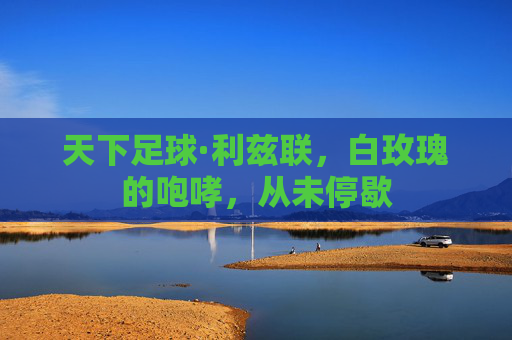 天下足球·利兹联,白玫瑰的咆哮,从未停歇
