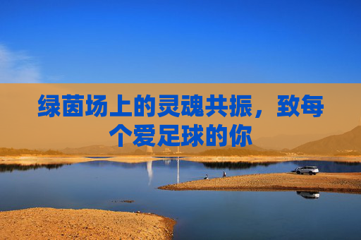 绿茵场上的灵魂共振,致每个爱足球的你