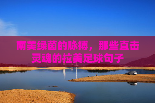 南美绿茵的脉搏，那些直击灵魂的拉美足球句子