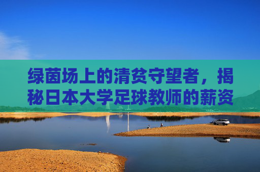 绿茵场上的清贫守望者,揭秘日本大学足球教师的薪资困境与现状