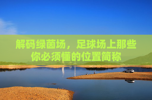 解码绿茵场,足球场上那些你必须懂的位置简称