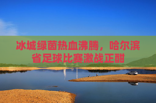 冰城绿茵热血沸腾,哈尔滨省足球比赛激战正酣