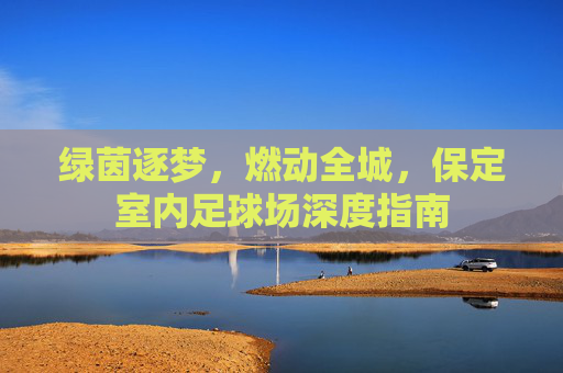 绿茵逐梦,燃动全城,保定室内足球场深度指南