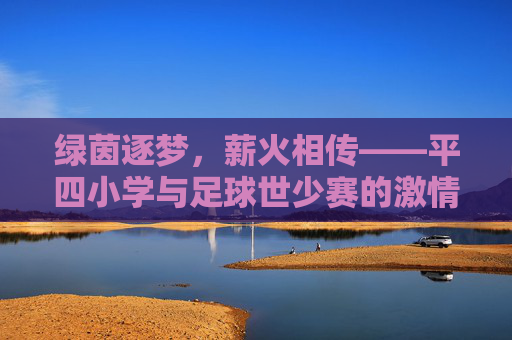 绿茵逐梦,薪火相传——平四小学与足球世少赛的激情碰撞