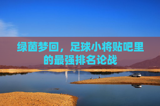 绿茵梦回,足球小将贴吧里的最强排名论战