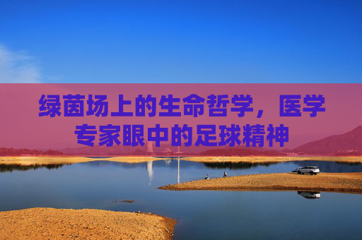 绿茵场上的生命哲学,医学专家眼中的足球精神