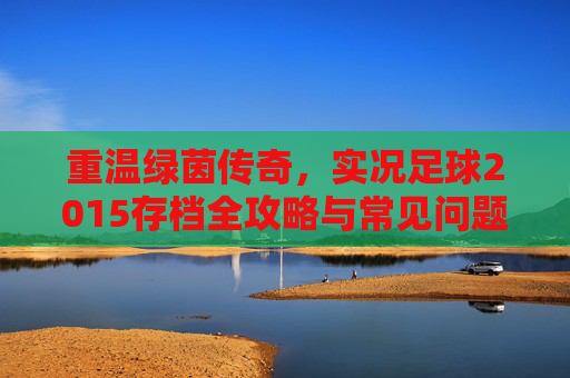 重温绿茵传奇,实况足球2015存档全攻略与常见问题解析