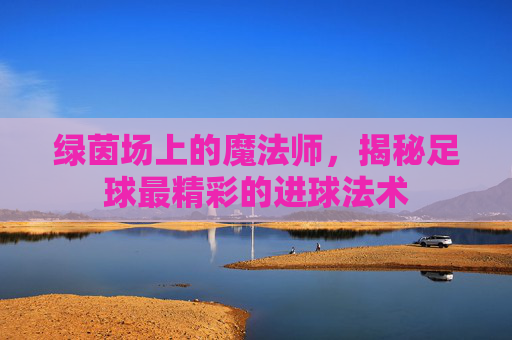 绿茵场上的魔法师,揭秘足球最精彩的进球法术