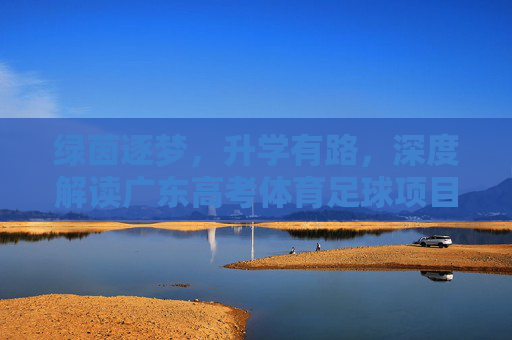绿茵逐梦,升学有路,深度解读广东高考体育足球项目