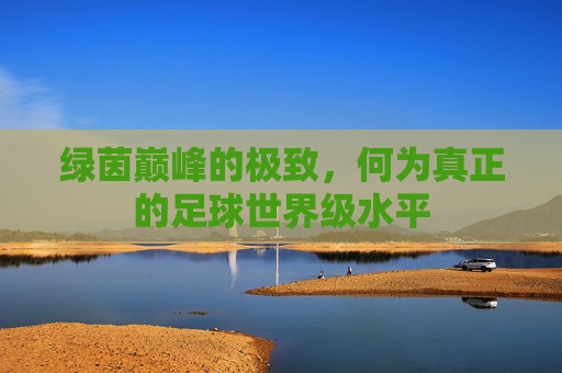 绿茵巅峰的极致,何为真正的足球世界级水平