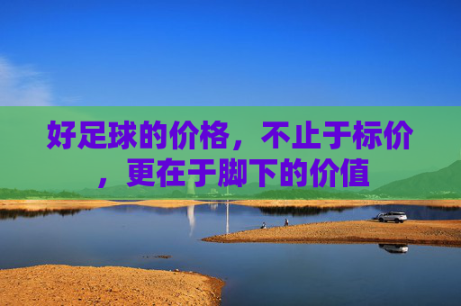 好足球的价格,不止于标价,更在于脚下的价值
