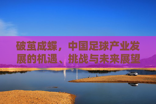破茧成蝶，中国足球产业发展的机遇、挑战与未来展望