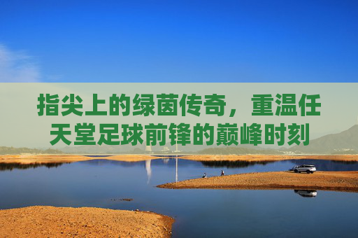 指尖上的绿茵传奇,重温任天堂足球前锋的巅峰时刻