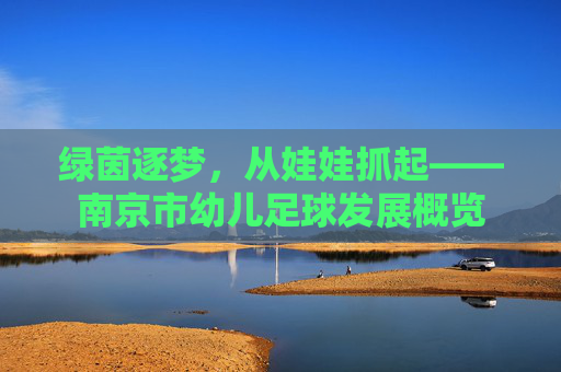 绿茵逐梦,从娃娃抓起——南京市幼儿足球发展概览