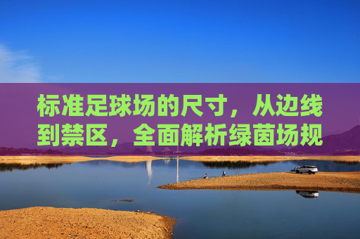 标准足球场的尺寸,从边线到禁区,全面解析绿茵场规格