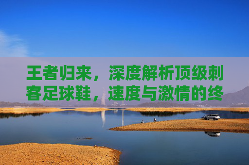 王者归来,深度解析顶级刺客足球鞋,速度与激情的终极结合