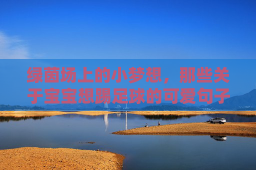 绿茵场上的小梦想,那些关于宝宝想踢足球的可爱句子