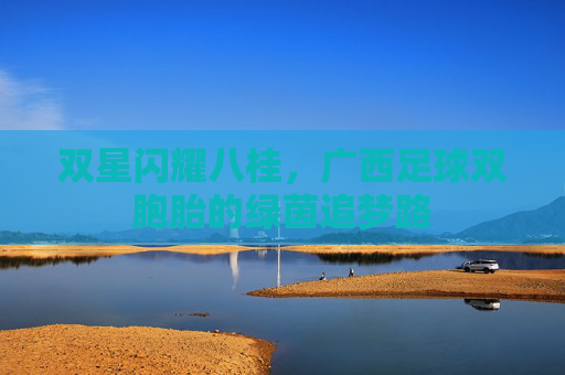 双星闪耀八桂,广西足球双胞胎的绿茵追梦路
