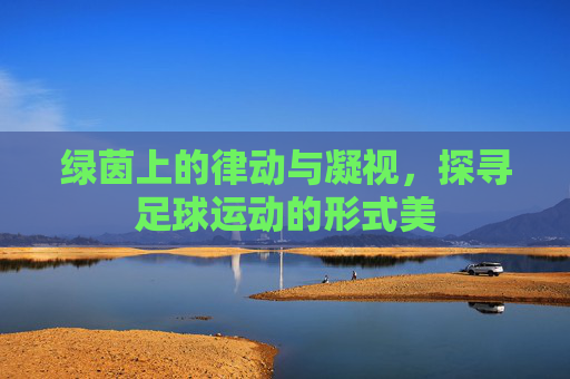 绿茵上的律动与凝视,探寻足球运动的形式美