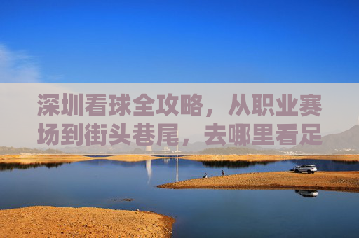 深圳看球全攻略,从职业赛场到街头巷尾,去哪里看足球?