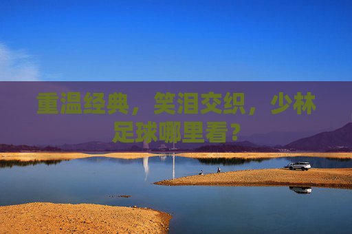重温经典,笑泪交织,少林足球哪里看?