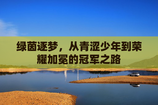 绿茵逐梦,从青涩少年到荣耀加冕的冠军之路