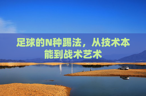 足球的N种踢法,从技术本能到战术艺术