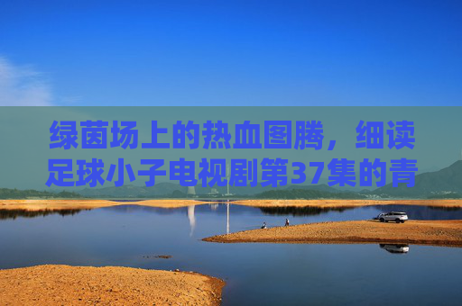 绿茵场上的热血图腾，细读足球小子电视剧第37集的青春密码