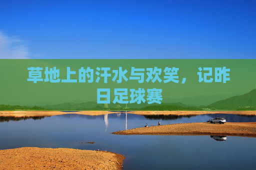 草地上的汗水与欢笑,记昨日足球赛