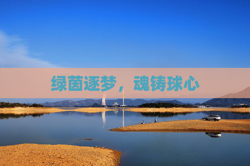 绿茵逐梦,魂铸球心