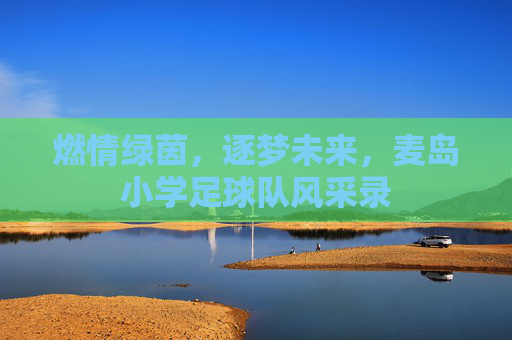 燃情绿茵,逐梦未来,麦岛小学足球队风采录