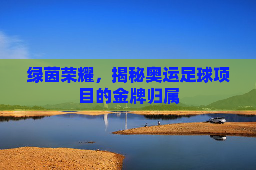 绿茵荣耀,揭秘奥运足球项目的金牌归属