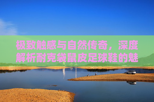 极致触感与自然传奇,深度解析耐克袋鼠皮足球鞋的魅力