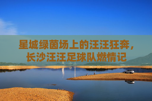 星城绿茵场上的汪汪狂奔，长沙汪汪足球队燃情记