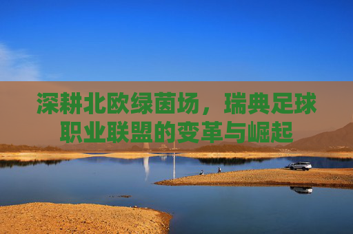深耕北欧绿茵场,瑞典足球职业联盟的变革与崛起