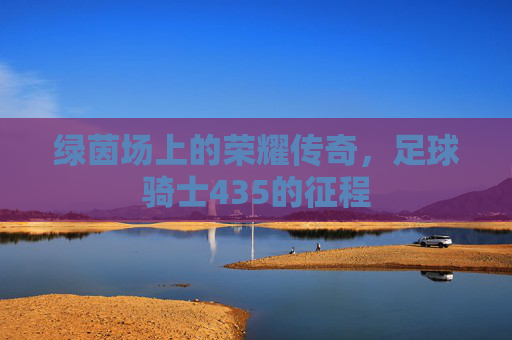 绿茵场上的荣耀传奇,足球骑士435的征程