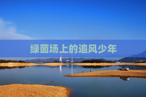 绿茵场上的追风少年