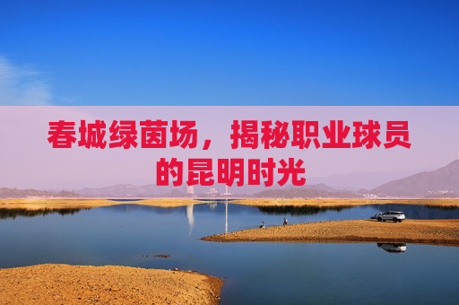 春城绿茵场,揭秘职业球员的昆明时光