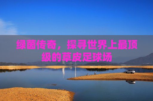 绿茵传奇，探寻世界上最顶级的草皮足球场