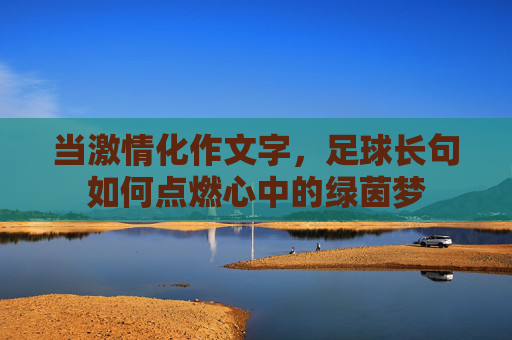 当激情化作文字，足球长句如何点燃心中的绿茵梦