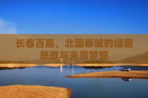 长春百嘉,北国春城的绿茵悲歌与未竟梦想