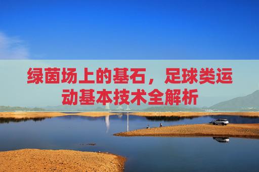 绿茵场上的基石,足球类运动基本技术全解析