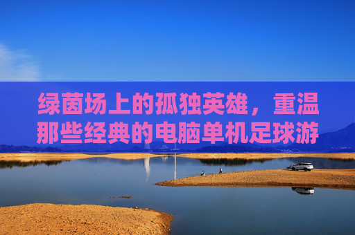 绿茵场上的孤独英雄,重温那些经典的电脑单机足球游戏