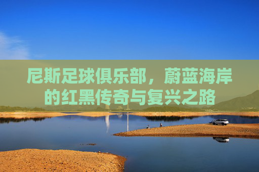 尼斯足球俱乐部,蔚蓝海岸的红黑传奇与复兴之路